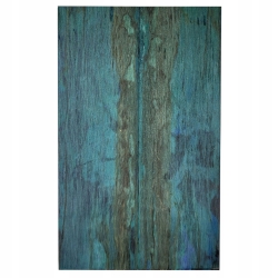 Drewno stabilizowane Grab zagrzybiony okładki 9x46x154 mm folder SHSC33